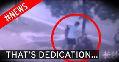 Chinese Man Chops Down Tree To Steal Bike Attached To It