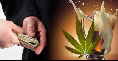 WikiLeaks: Alcohol Industry Bribed Congress To Denounce Cannabis