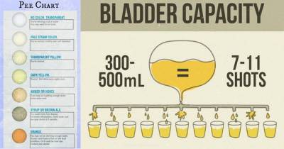 Facts About Pee You Probably Didn't Know