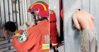 Drunk Man Locked In Storage Room By Furious Wife Gets Head Stuck When He Tries To Escape