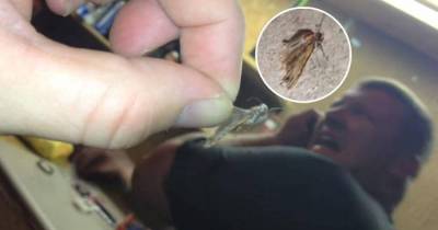 This Man Was Writhing In Pain After A Moth Flew In His Ear