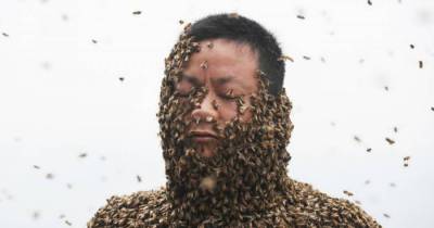 Chinese Beekeeper Covered His Entire Body With 460,000 Bees Just To Sell His Honey!