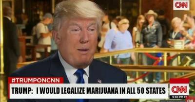Donald Trump: I Will Legalize Marijuana In All 50 States!