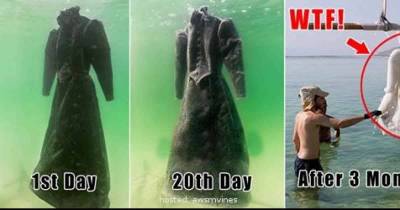 What Happens If You Leave A Dress In The Dead Sea For Months?
