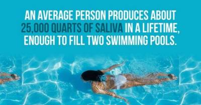 20 Interesting Facts About Your Body