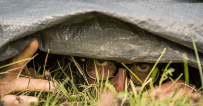 The Hide And Seek World Championship Is An Actual Event