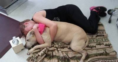 Woman Shares One Last Day With Her Best Friend Before Making A Difficult Decision