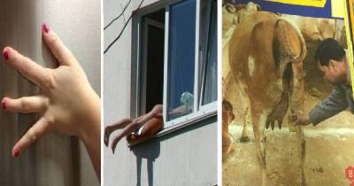 Weird Pictures That Show Internet Insanity
