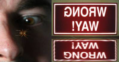 Things That People Quite Often Get Wrong