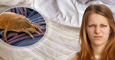 Gross Stuff That Happens When You Don&rsquo;t Wash Your Bedsheets