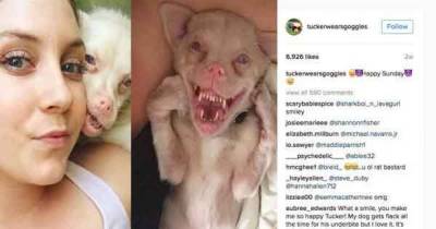 This Unique Creature Is Becoming A Huge Star On Social Media. One Look And You'll See Why