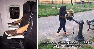 Pictures Proving That Some People Just Want A Punch In A Face