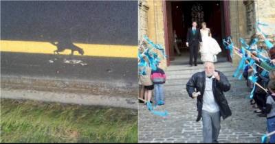 Idiot People Caught In The Wrong Place At The Wrong Time