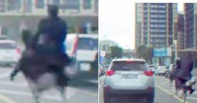 Bizarre Video Shows Man Riding An Ostrich Speed Past Cars Stuck In Traffic Jam