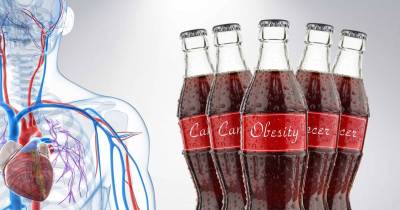 Alarming Findings: Drinking Cola Damages The Body