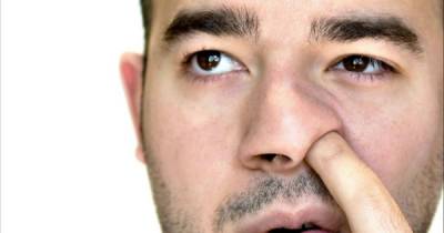 Hard To Believe But Eating Your Boogers Is Good For You.