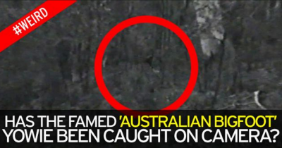 'Best Footage Yet' The Bigfoot-Like Creature Roaming In Australia