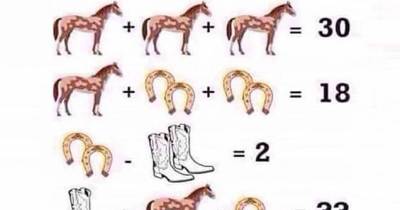 Can You Solve This Puzzle?
