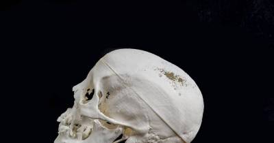Researchers Reconstructed With 3D Printer: 2,300 Years Old Egyptian Mummy's Face