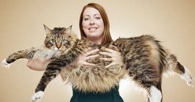 New Guinness Book Of World Records - From Longest Cat And Tallest Dog To Burning Body And Bearded Lady