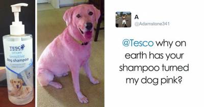 Hilarious Customer Complaints And Responses That&rsquo;ll Make You Laugh