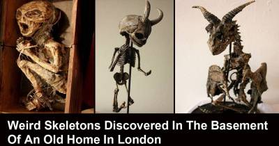 The Creepiest Things Ever Found In People's Basements