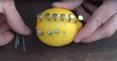 He Just Punched Some Nails Into A Lemon But The Result Could Save Your Life