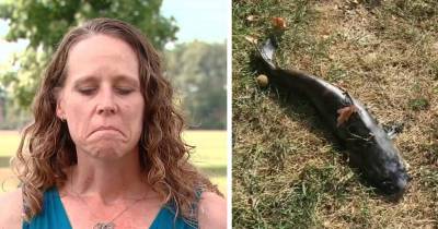 Falling Catfish From The Sky Hits Woman In The Face