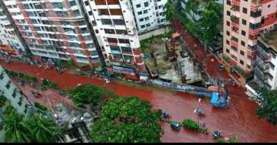 Gory! Animal Slaughter During Bakrid Turns Dhaka Streets Into Rivers Of Blood