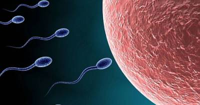 Creating Babies Without Eggs Is Now Possible Thanks To Groundbreaking New Research
