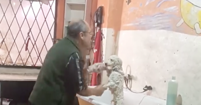 Pet Groomer Gets Secretly Filmed On The Job And The Video Is Going Viral