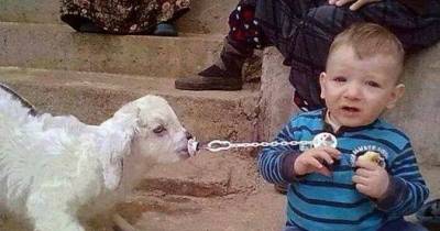 Nothing Makes You Smile More Than Kids And Their Pets!