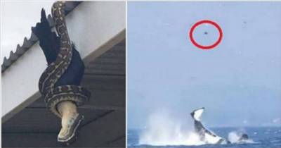 These 7 Pictures Shows How Scary Nature Can Be