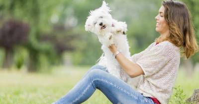 Low-Maintenance Dog Breeds Perfect For Busy Owners
