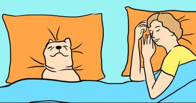 7 Surprising Reasons Why Your Dog Should Sleep On Your Bed Every Night