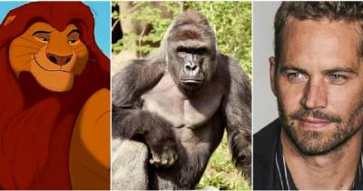 15 Icons Taken From Us Too Soon