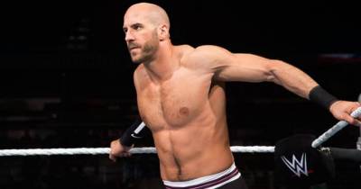15 WWE Superstars Who Could Do Better In UFC Than CM Punk