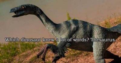 12 Quick Jokes That Are Equally Terrible And Hilarious AF