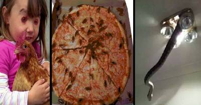 Creepy Things That Will Make You Instantly Say Nope!