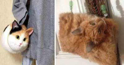 Taxidermist Makes Dead Cat Handbags And It's Repulsive