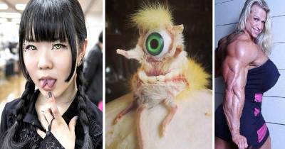 Pictures That Are The Epitome Of WTF