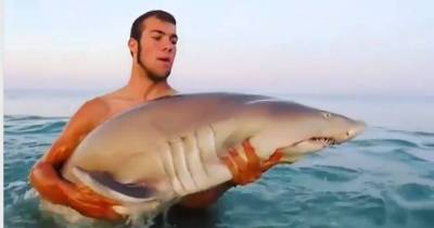 Fearless Idiot Wrestles Massive Sand Tiger Shark In Shallow Water
