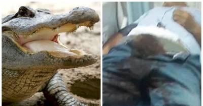 Florida Man Gets High On Meth, Cuts Off His Genitals And Feeds Them To The Alligator