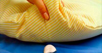 Put A Piece Of Garlic Under Your Pillow Immediately And Check What Happens...