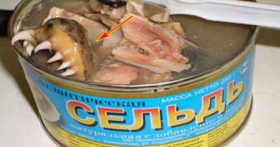 These Foods Look Really Disgusting, But Would You Dare Eat One For 10 Bucks?