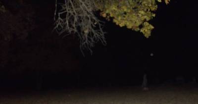 HE Saw Something Unexplainable In The Graveyard And It Haunts Him To This Day