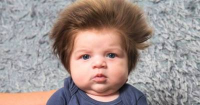 Nine Week Old Baby Has A Bouffant Hair Do And Is Cooler Thank You