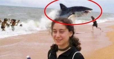 The Most Horrifying Shark Attacks Ever