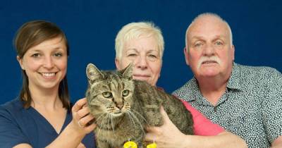 Meet The World's Oldest Cat: Nutmeg The Grumpy Tabby Who Is Going Strong At 31-years-old
