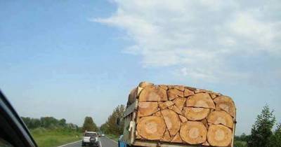 When You Ask A Perfectionist To Do A Job